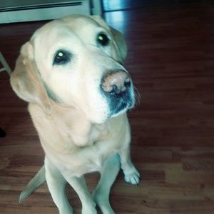 Meet your Posher, Beth